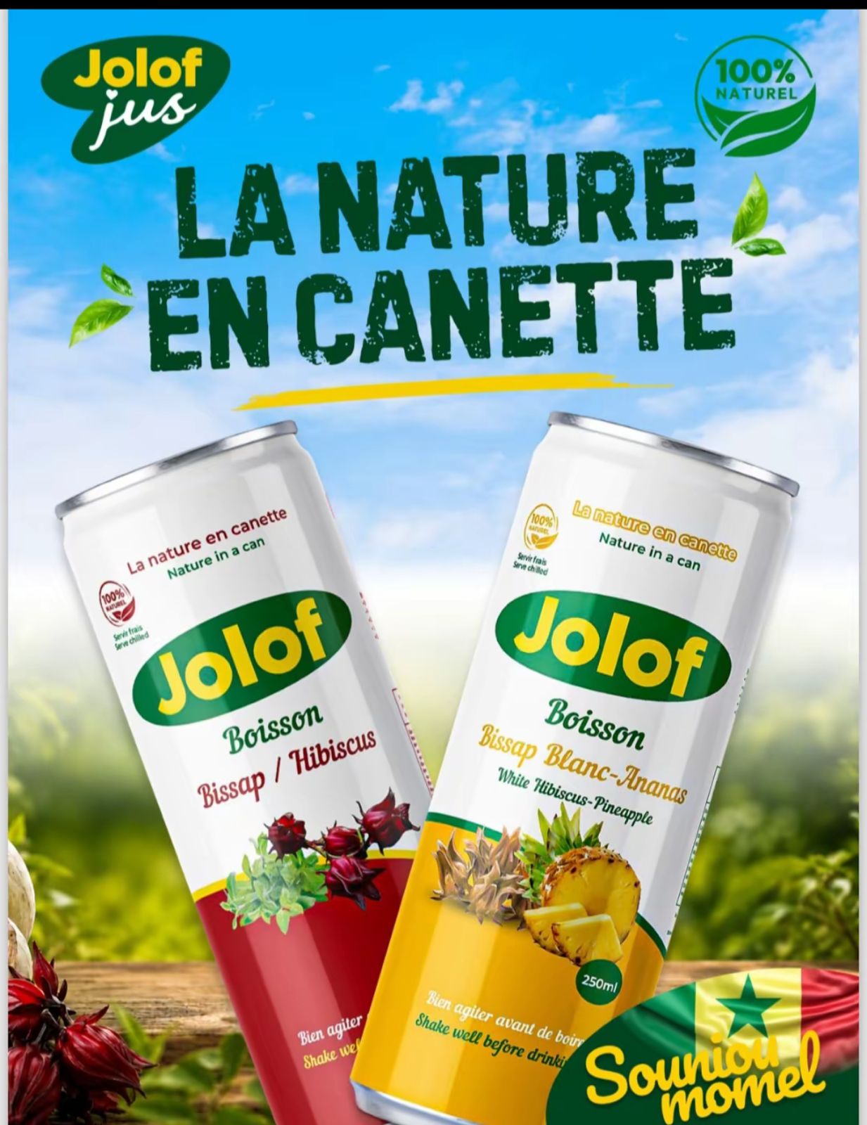 JUS NATURELS CANETTE